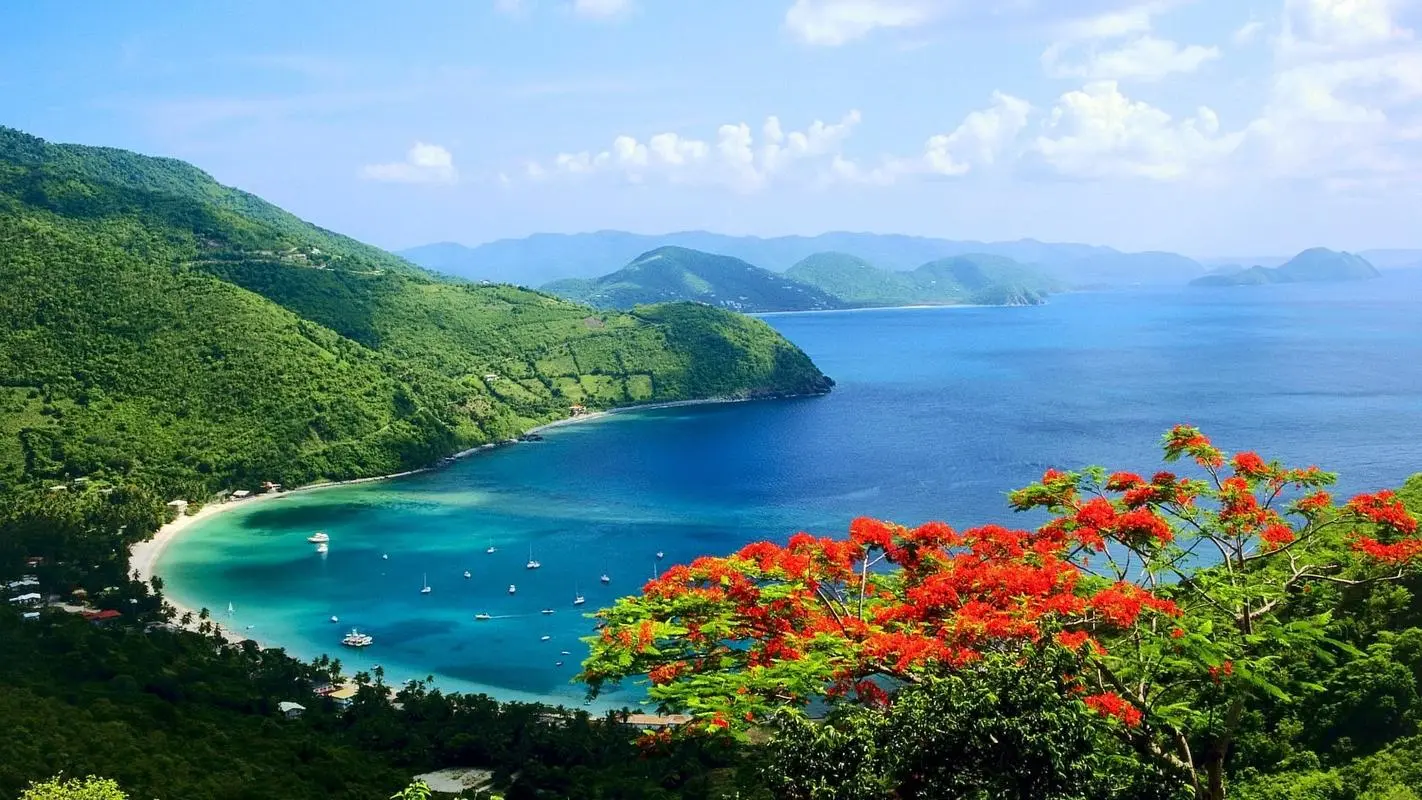 高质量高精度自动化